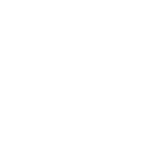 Technical Developer Skills